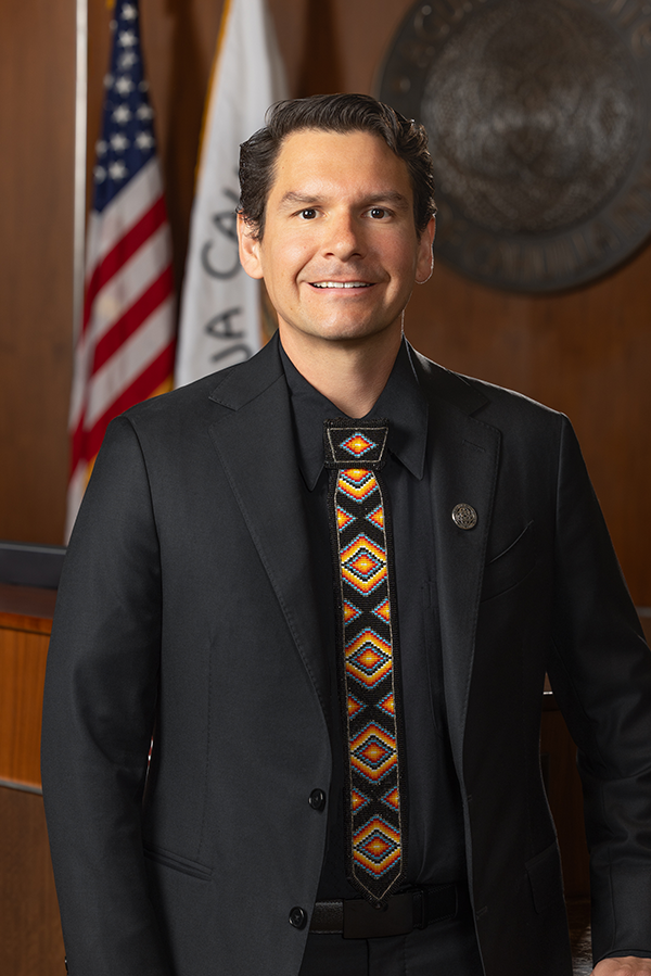 vice chairman